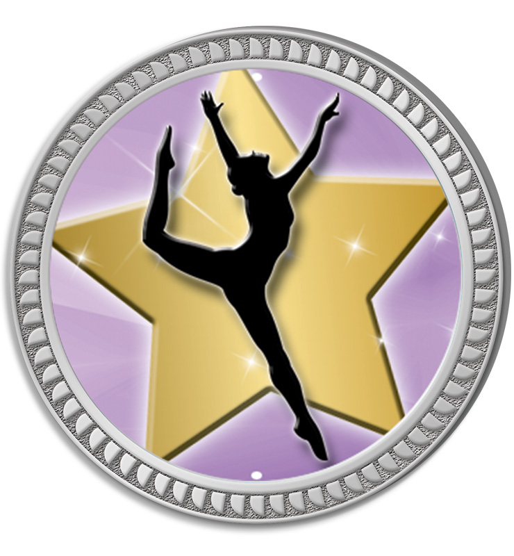 1.25" Silver Round Insert Pin