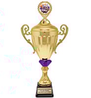 Accolade Gold Metal Crystalline Insert Holder Cup Trophies