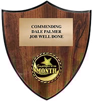 Shield Insert Plaque