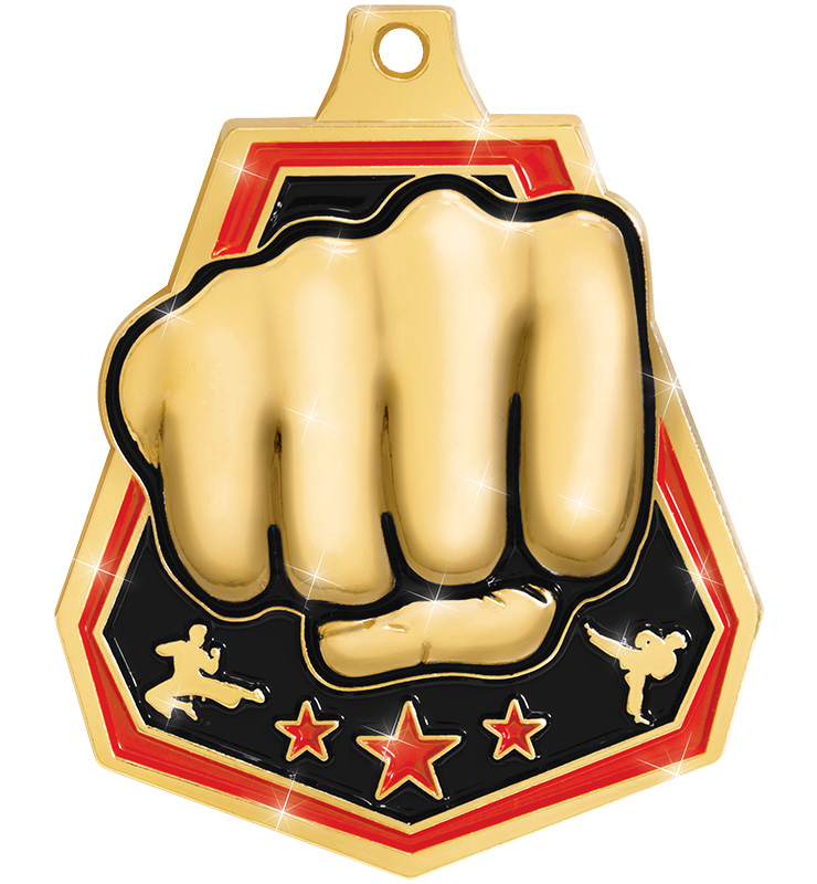 2" Martial Arts Shiny Captain Medals