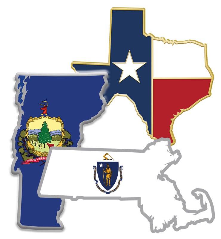 State Flag Pins