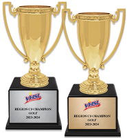 15" Cup Trophy On Wood Base