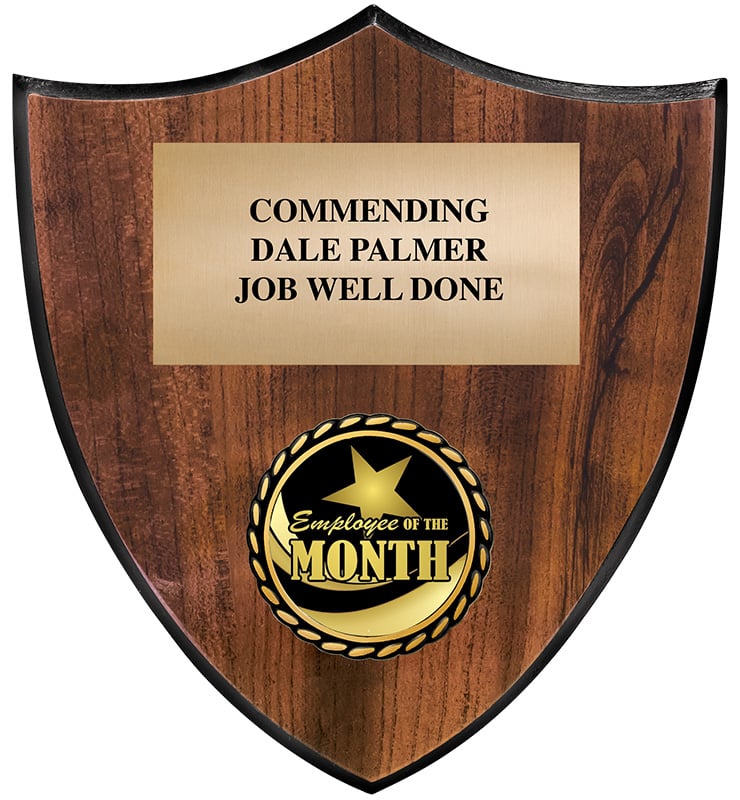 Shield Insert Plaque