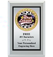 Silver Metalized Plaque With Black Plate