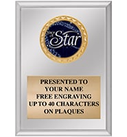 Silver Insert Vertical Plaques