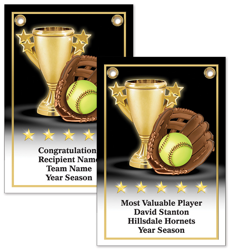 Softball Banner Award