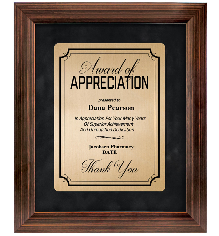 Appreciation Bronze Paradigm Frame Plaque