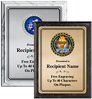 Vertical Gold Or Silver Full Plate Insert Plaques