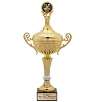 Manifest Gold Metal Insert Holder Trophies