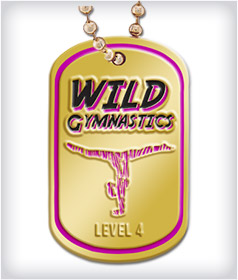 Custom Gold Dog Tags image