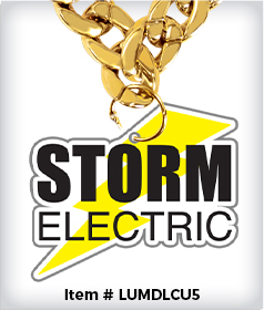 Freeform Custom 5" Acrylic Medal image