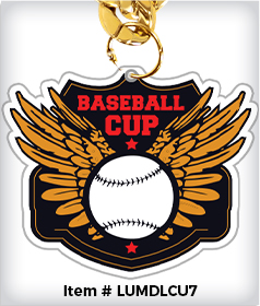 Freeform Custom 7" Acrylic Medal image