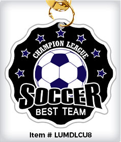 Freeform Custom 8" Acrylic Medal image