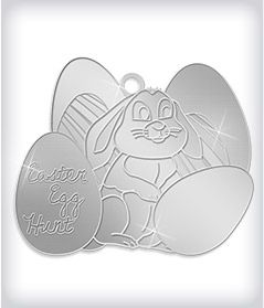 Shiny Silver Custom Community Event Medals image