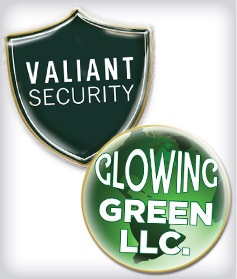 Custom Epoxy Dome Corporate Pins image