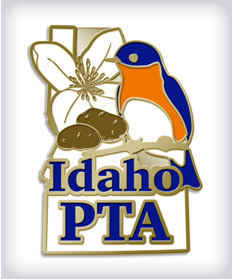 Custom Organizational Pins image