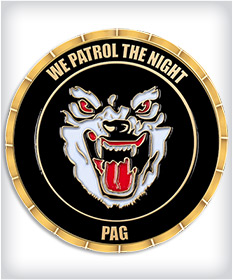Custom Coast Guard Coins image