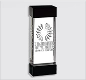 Custom 3D Laser Crystal