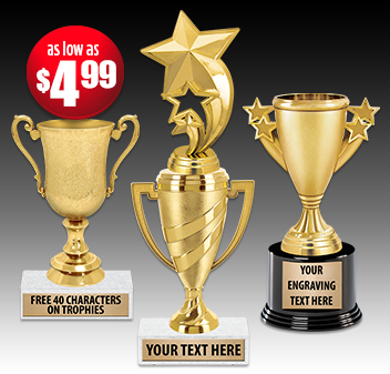 Economy Cup Trophies Many Options To Choose From!