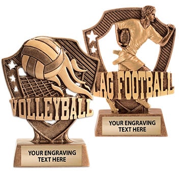 Shieldz Sculptures Ship Same Day