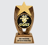 Asteroid Insert Sculpture