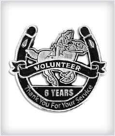 Custom Years of Service Die Struck Pins image