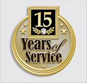 Embedded Rhinestone Pins