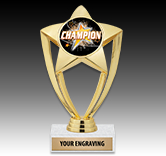 Gold Star Insert Trophy