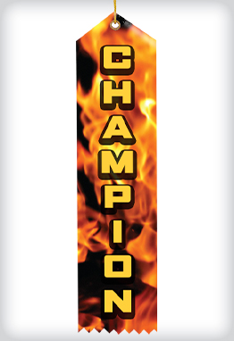 2 X 8 Color Splash Ribbons image