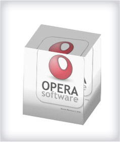 Custom Block Acrylic Embedments image