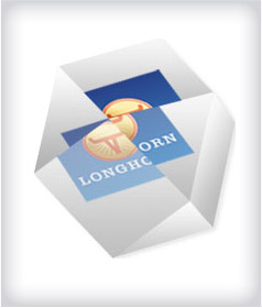 Custom 14-Facet or Round Cube Acrylic Embedments image