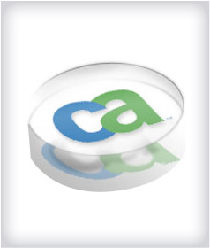 Custom Round Acrylic Embedments image