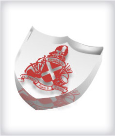 Custom Shield Acrylic Embedments image