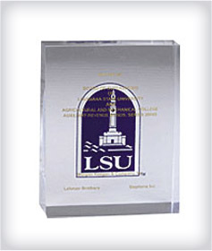 Custom Wedge Acrylic Embedments image