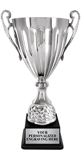 Silver Metal Cup Trophy