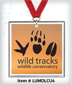 Square Custom 4&rdquo; Acrylic Medal image