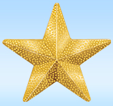 Gold Star Pin