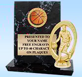 Stadium Insert Plaque