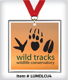 Square Custom 4&rdquo; Acrylic Medal image