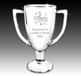 Winner Glass Cup Award