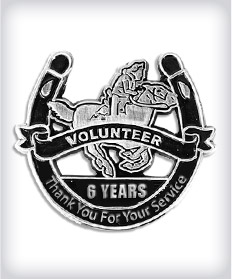 Custom Die Struck Corporate Pins image