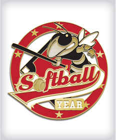 Custom Softball Pins With Your Logo image