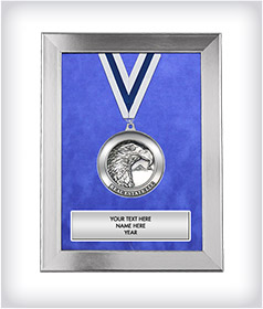 Custom Frame With Your Medal image