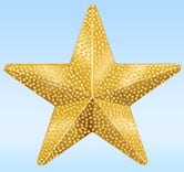 Gold Star Pin
