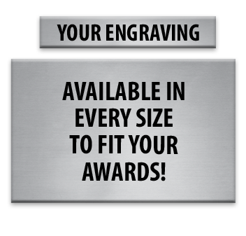 Silver Engraving Plates Choose Your Size To Fit Your Award