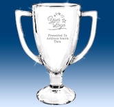 Winner Glass Cup Award