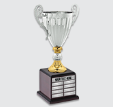 Silver Accolade Cup