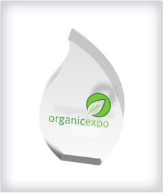 Custom Flame Acrylic Embedments image