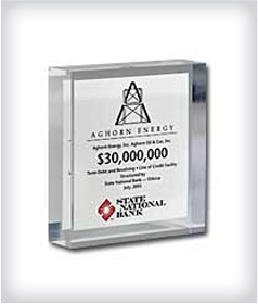 Custom Square Acrylic Embedments image