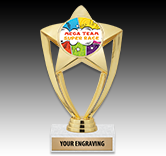 Custom Gold Star